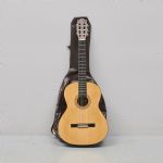 1257 7292 Gitarr